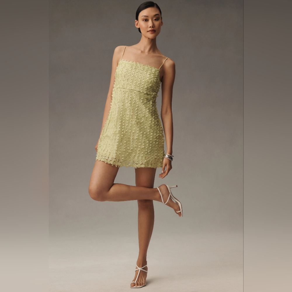 By Anthropologie 3D Floral Embellished Mini Dress Size Large